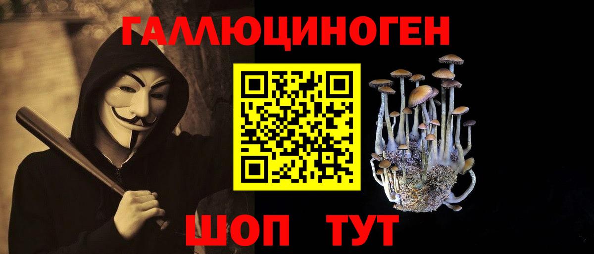 Строитель  Псилоцибиновые грибы Psilocybe  Вход с VPN 